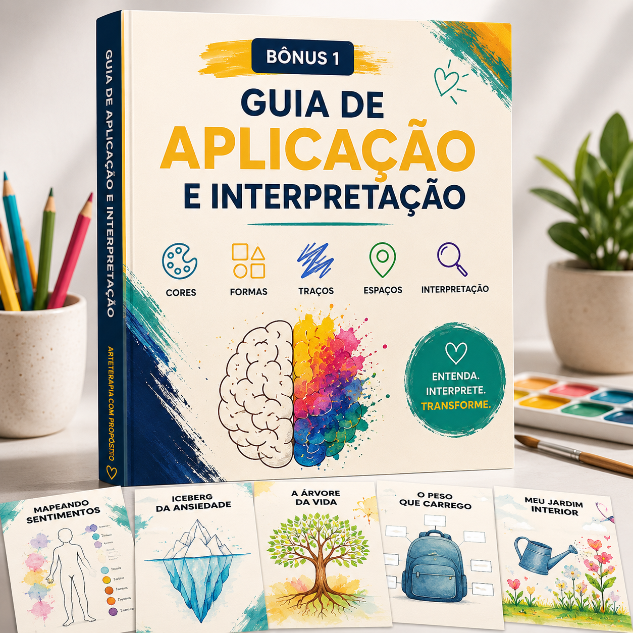 Guia de Aplicação e Interpretação